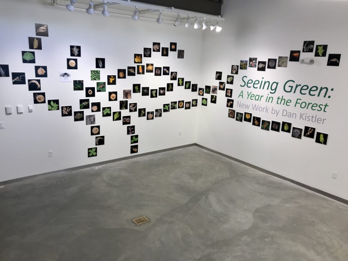 Seeing Green: New Work by Dan Kistler
