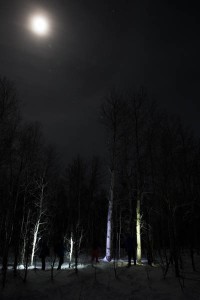 Painting trees with light and the moon.