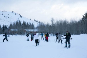 Working on their cross country ski skills.
