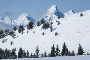 Grand Teton from the upper meadow