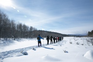 Skiing across the upper meadow