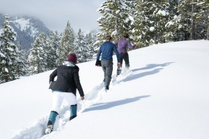 In groups of three, the students head off to make observations, come up with questions and draw hypothesis.