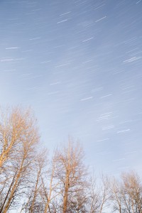 Attempt at star trails with the rising moon brightening the sky.