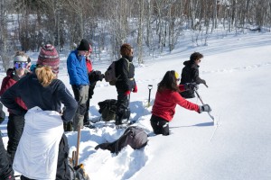 Learning how to dig a snow pit for gathering snow science data.