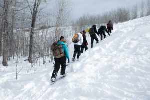 Off to another location to dig another snow pit and collect more data.