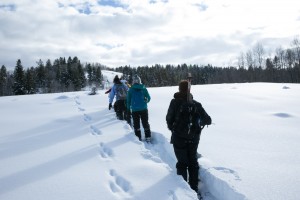 The group hikes to a third location to dig one last snow pit.