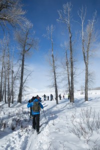 Crossing Ditch Creek.