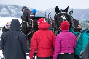 Students thank the horses.