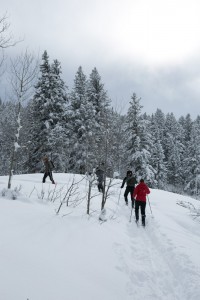 A few brave students head into the fresh, deep powder, breaking a new trail all the way.