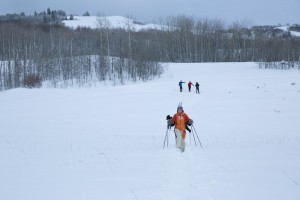 One last gentle climb, then another downhill.