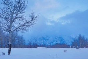The Tetons peaked through the clouds before sunset.