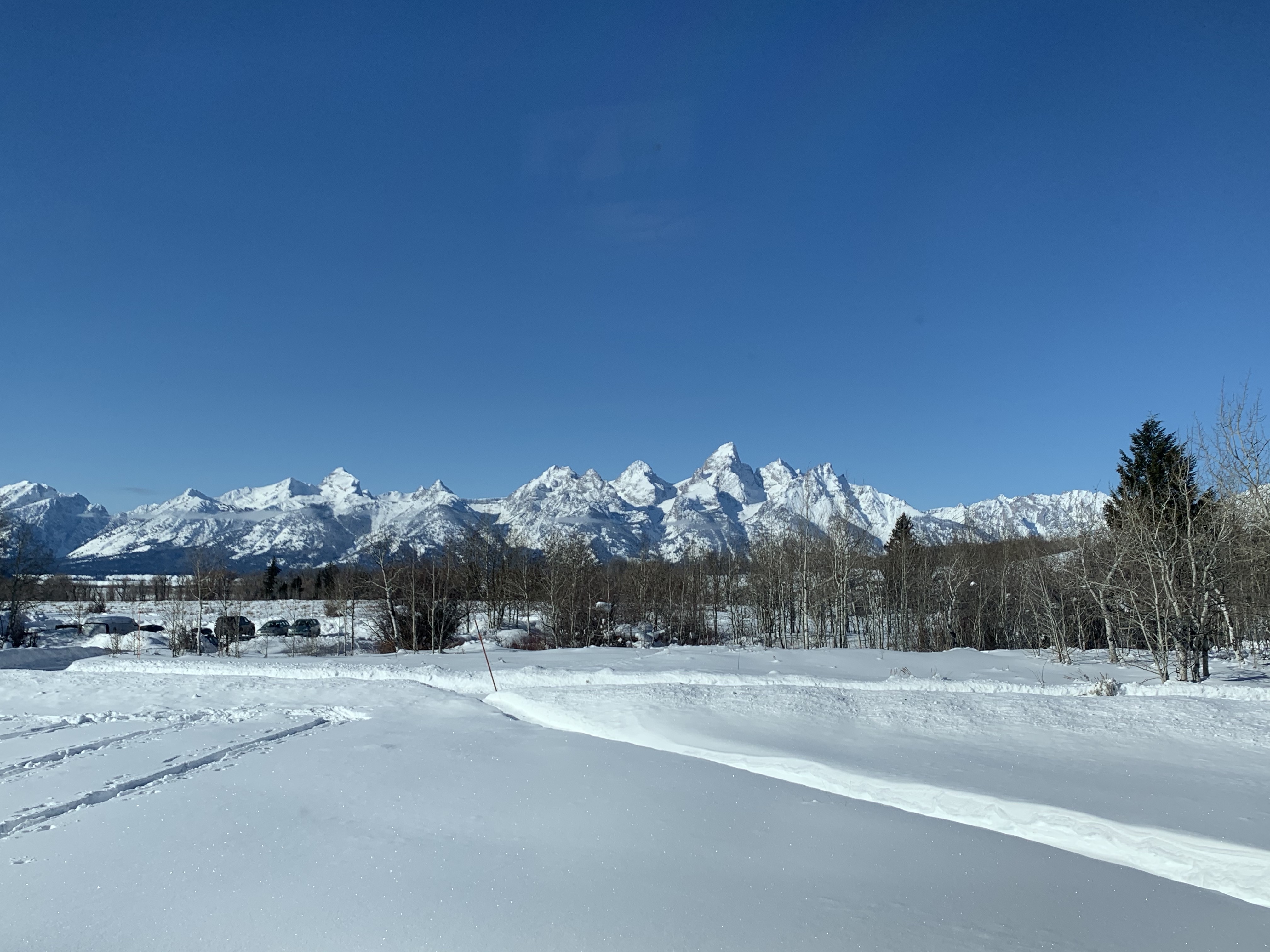 We can get used to this view!