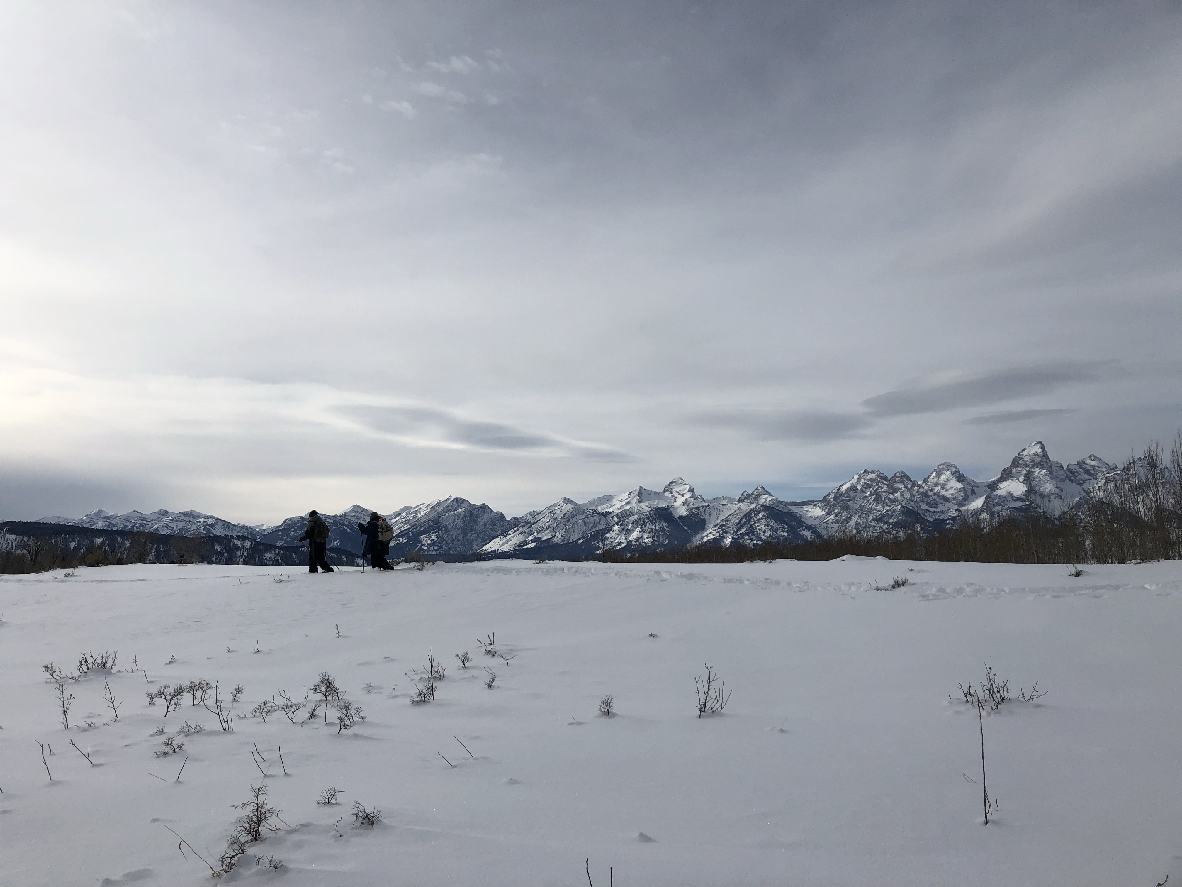 Ivander and Tyler go downhill