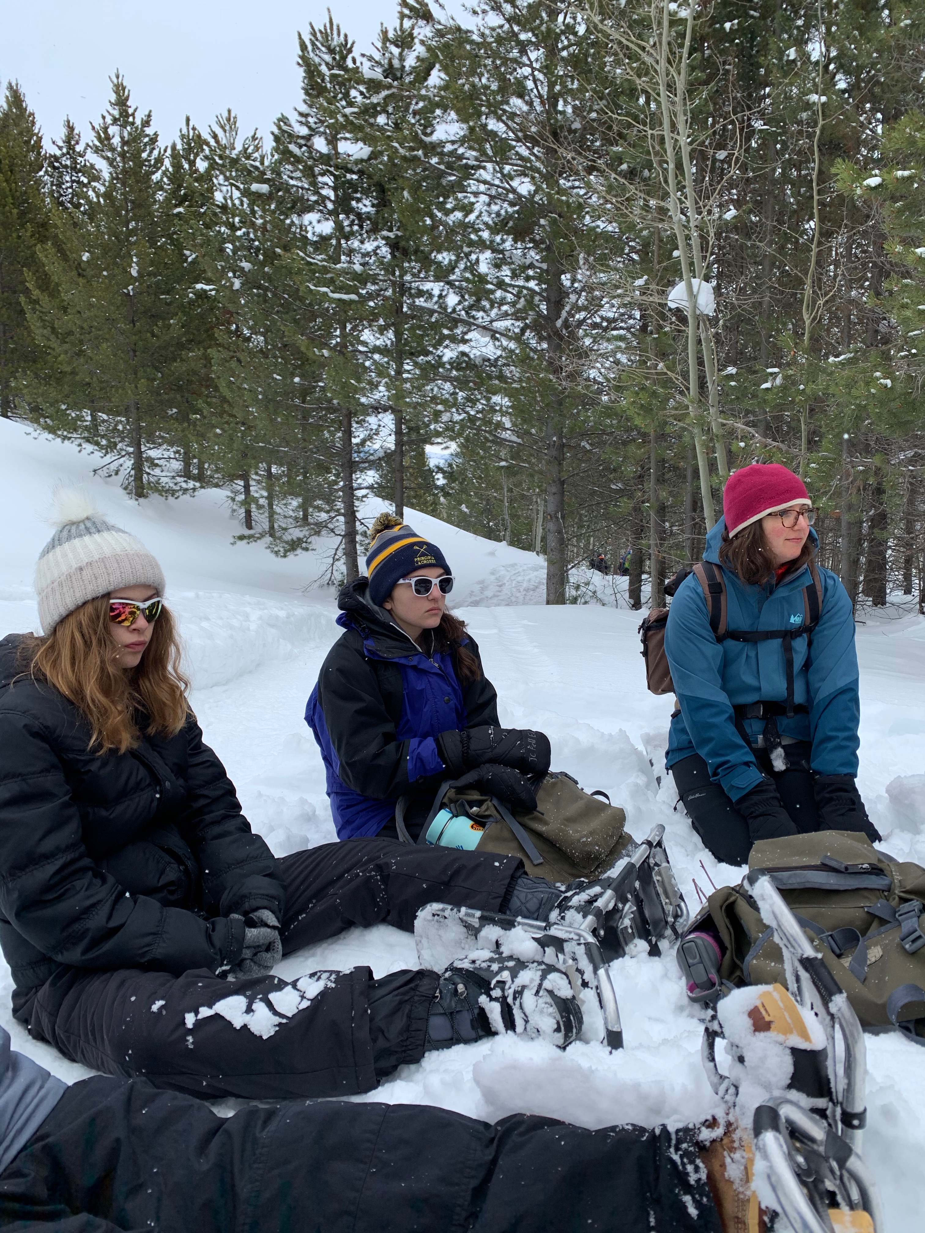 Understanding glaciation