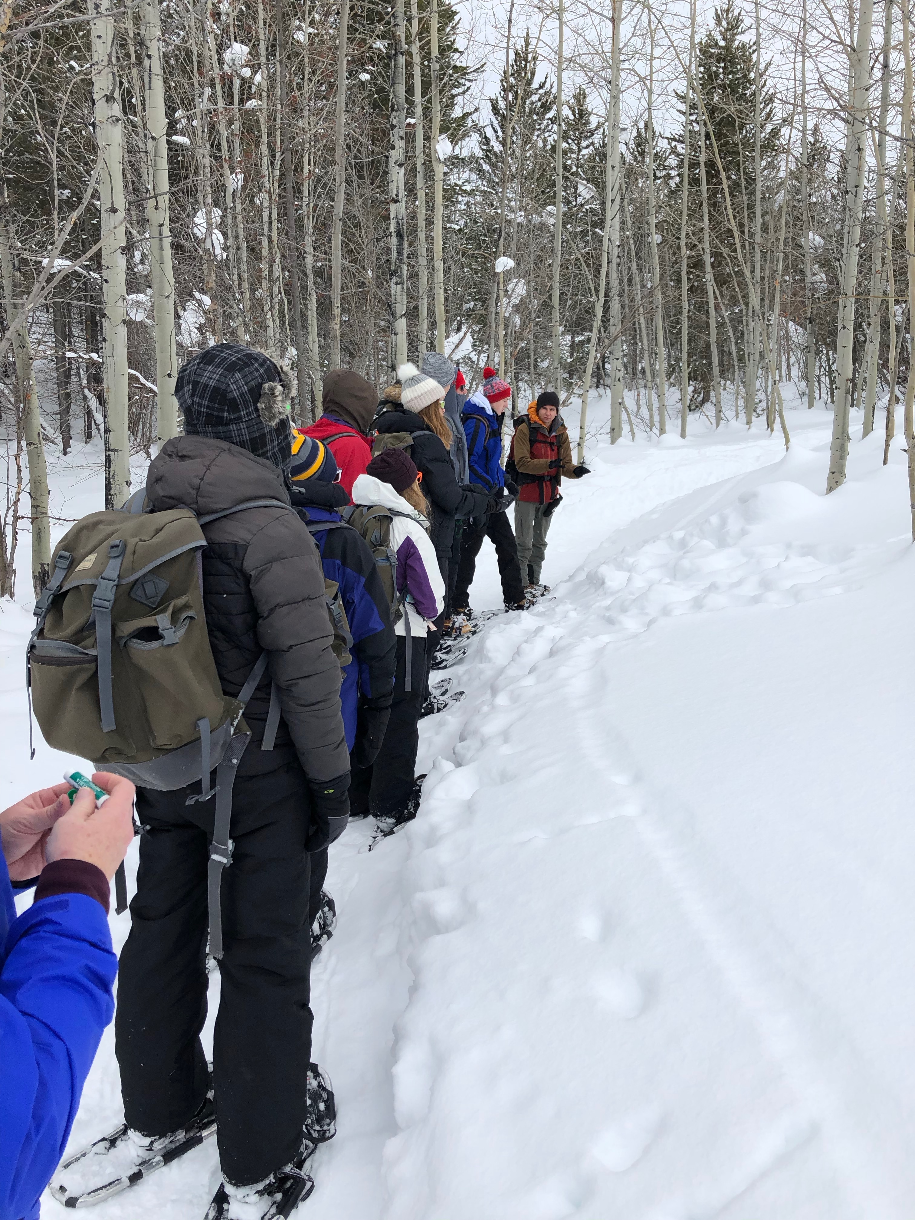 Stopping to study tracks
