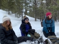 Understanding glaciation
