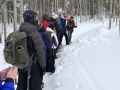 Stopping to study tracks