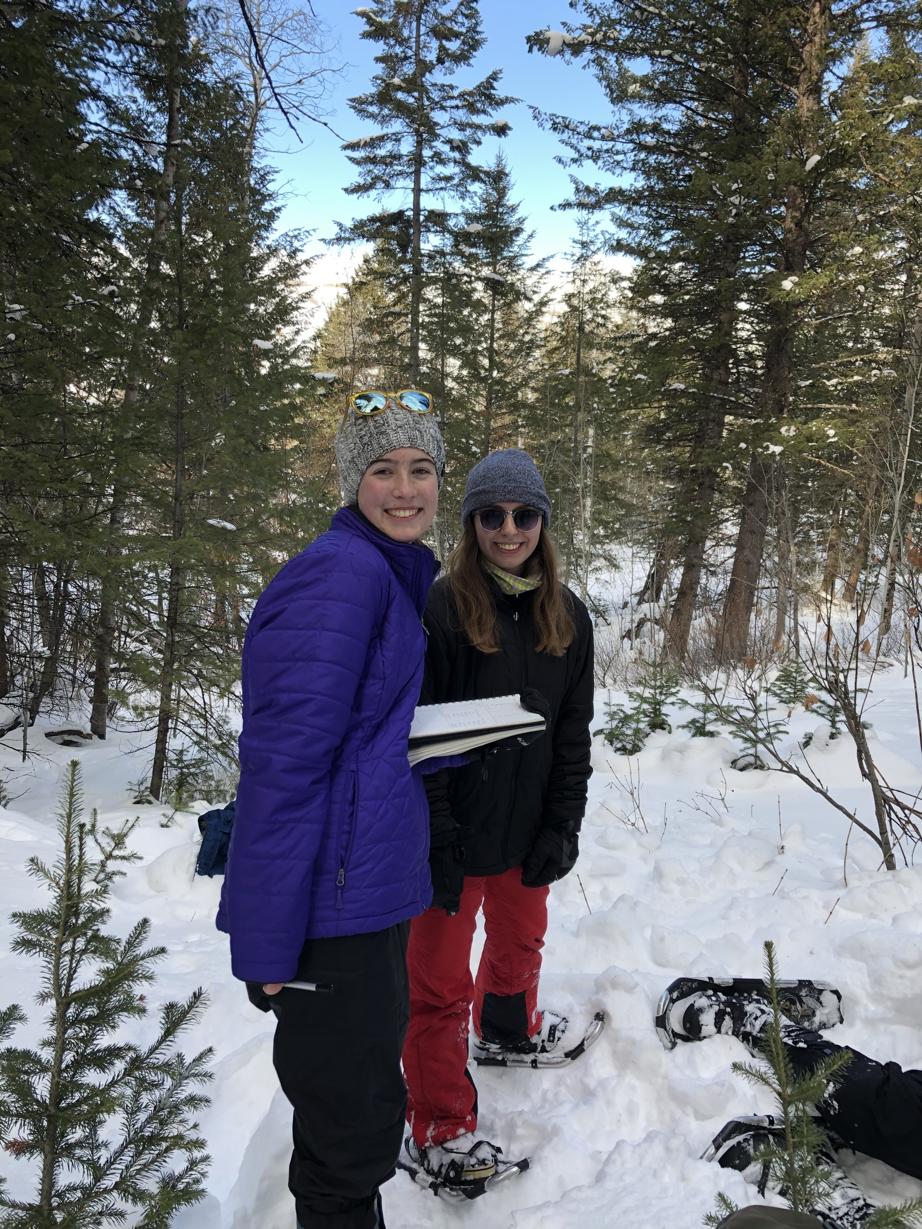 Kylie and Amelie collecting data