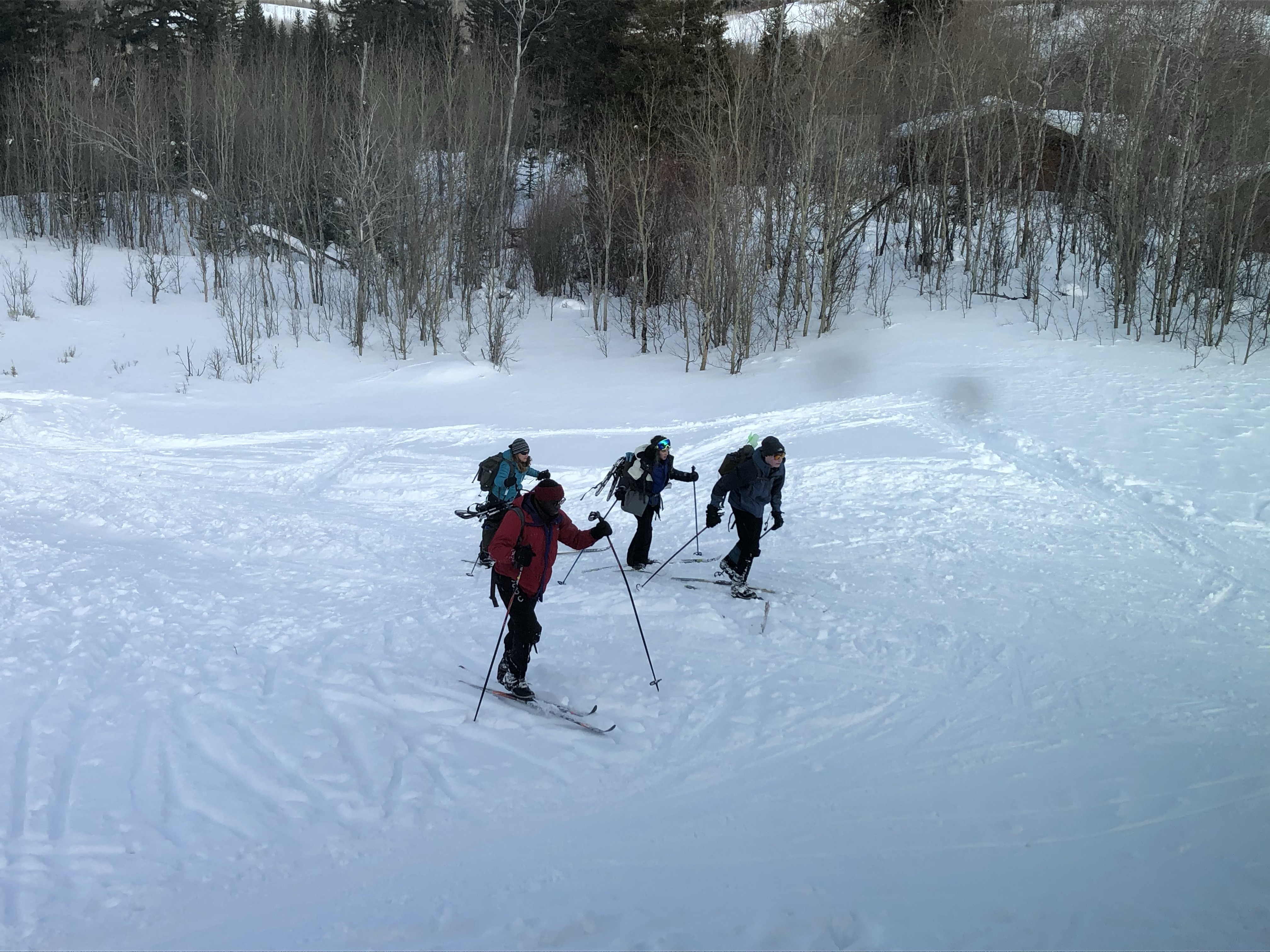 Returning from the field