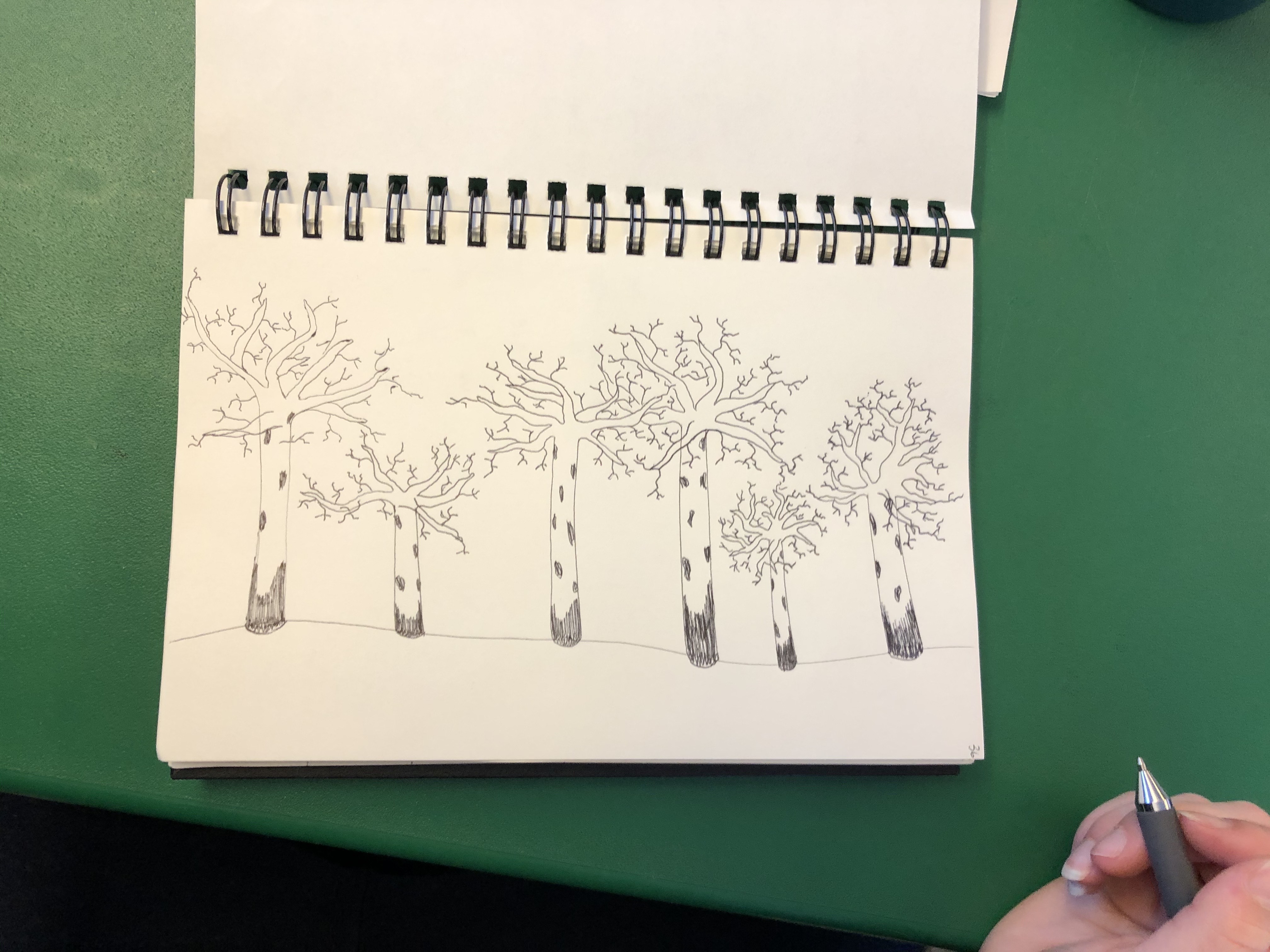 Kylie's journal in progress