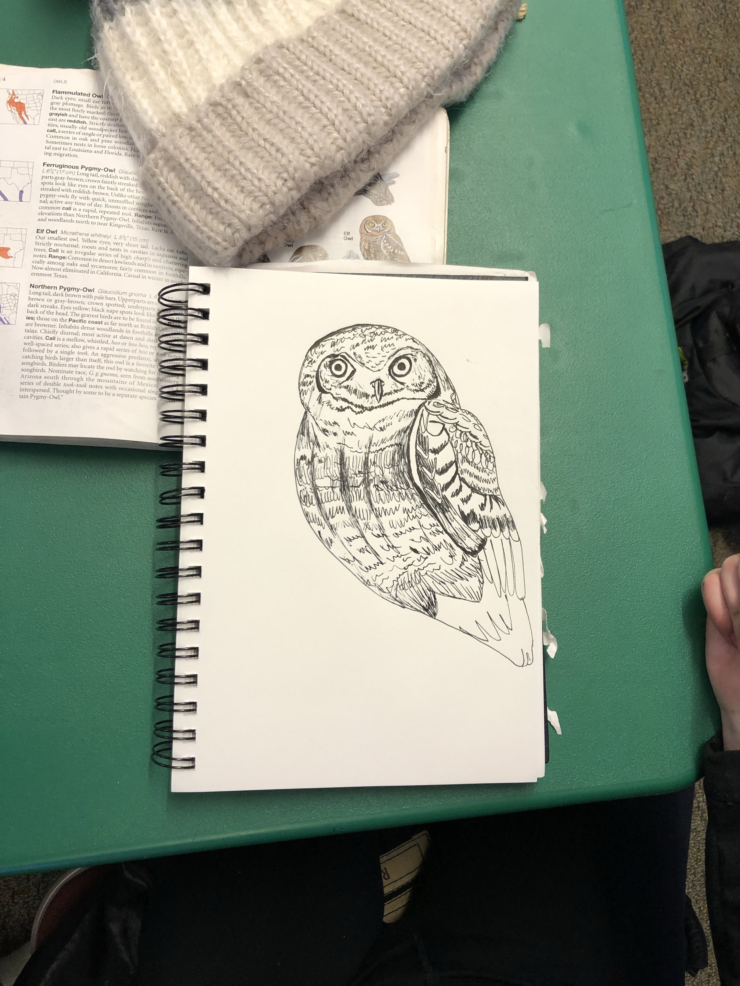 Owl drawing by Emmi