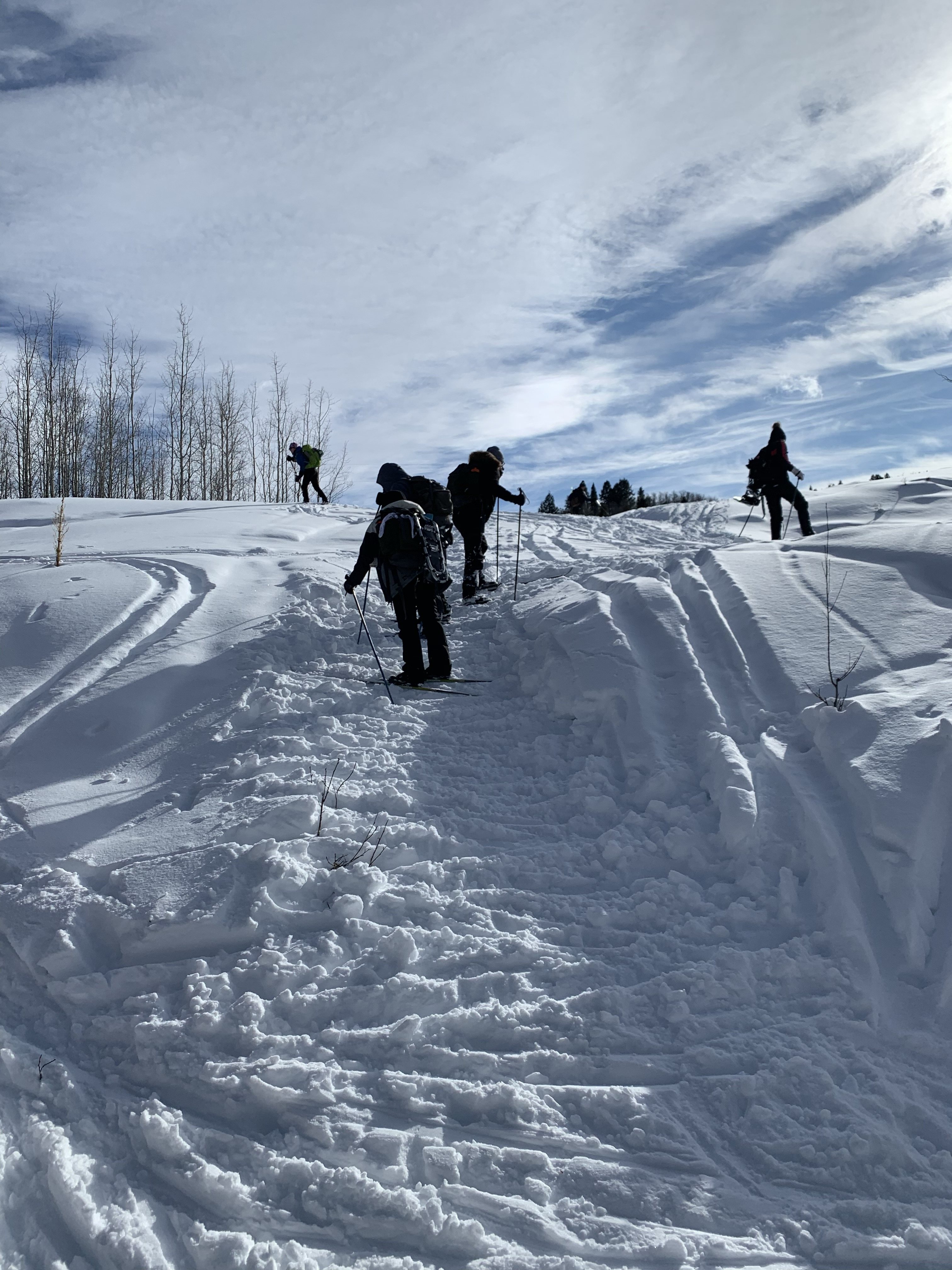 Cross country skiing