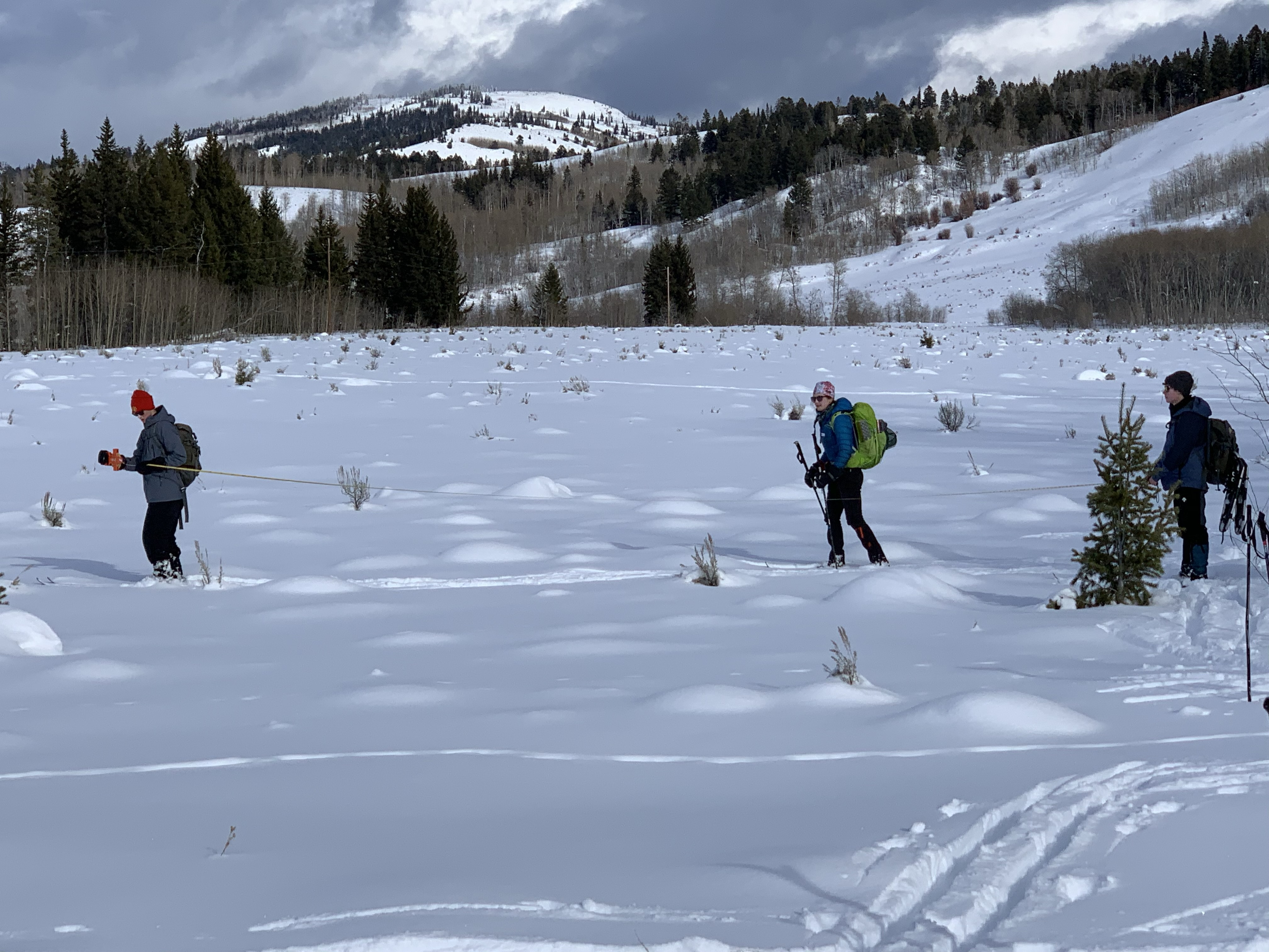 Cross country skiing