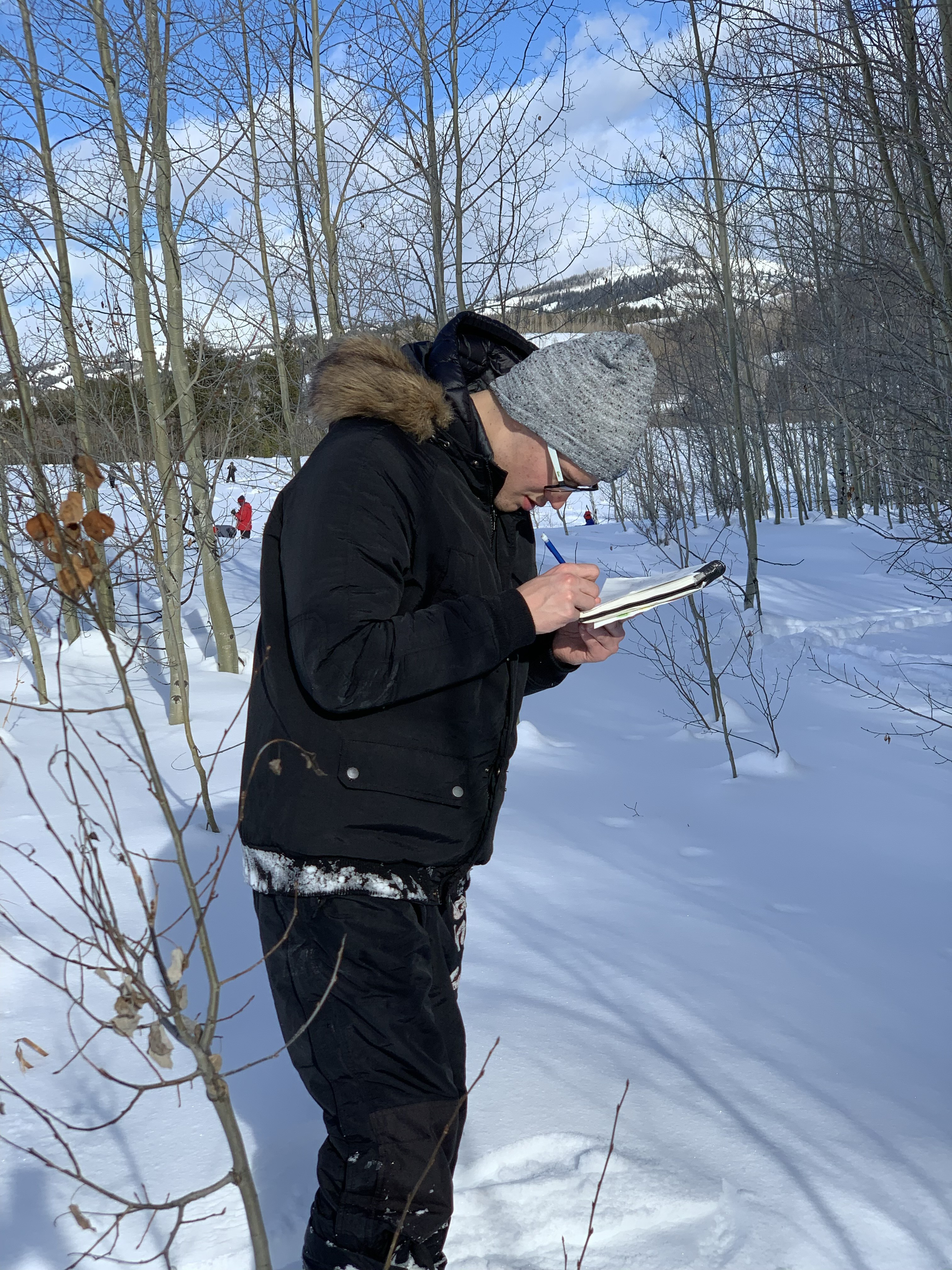 Johannes recording data