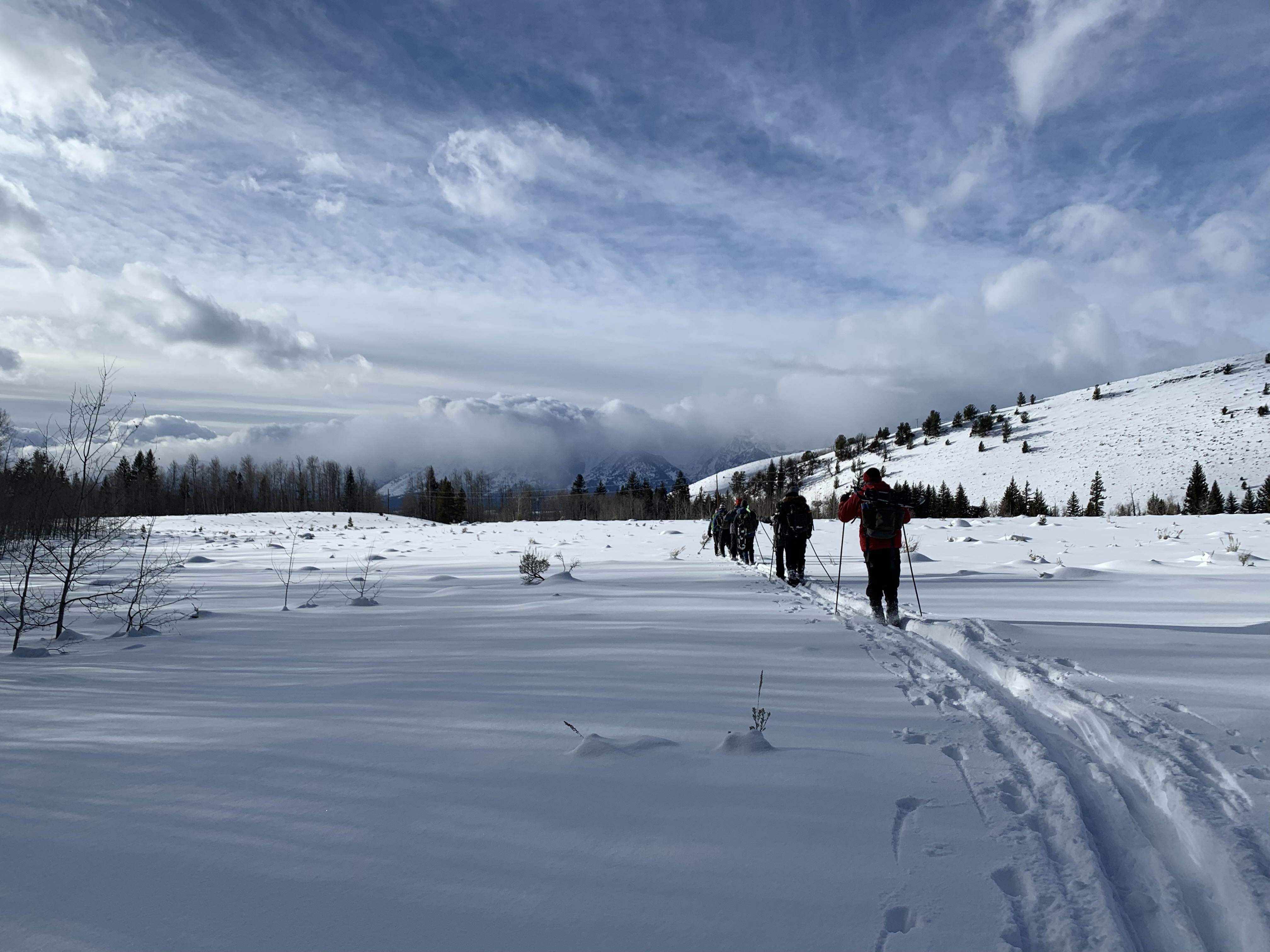Cross country skiing