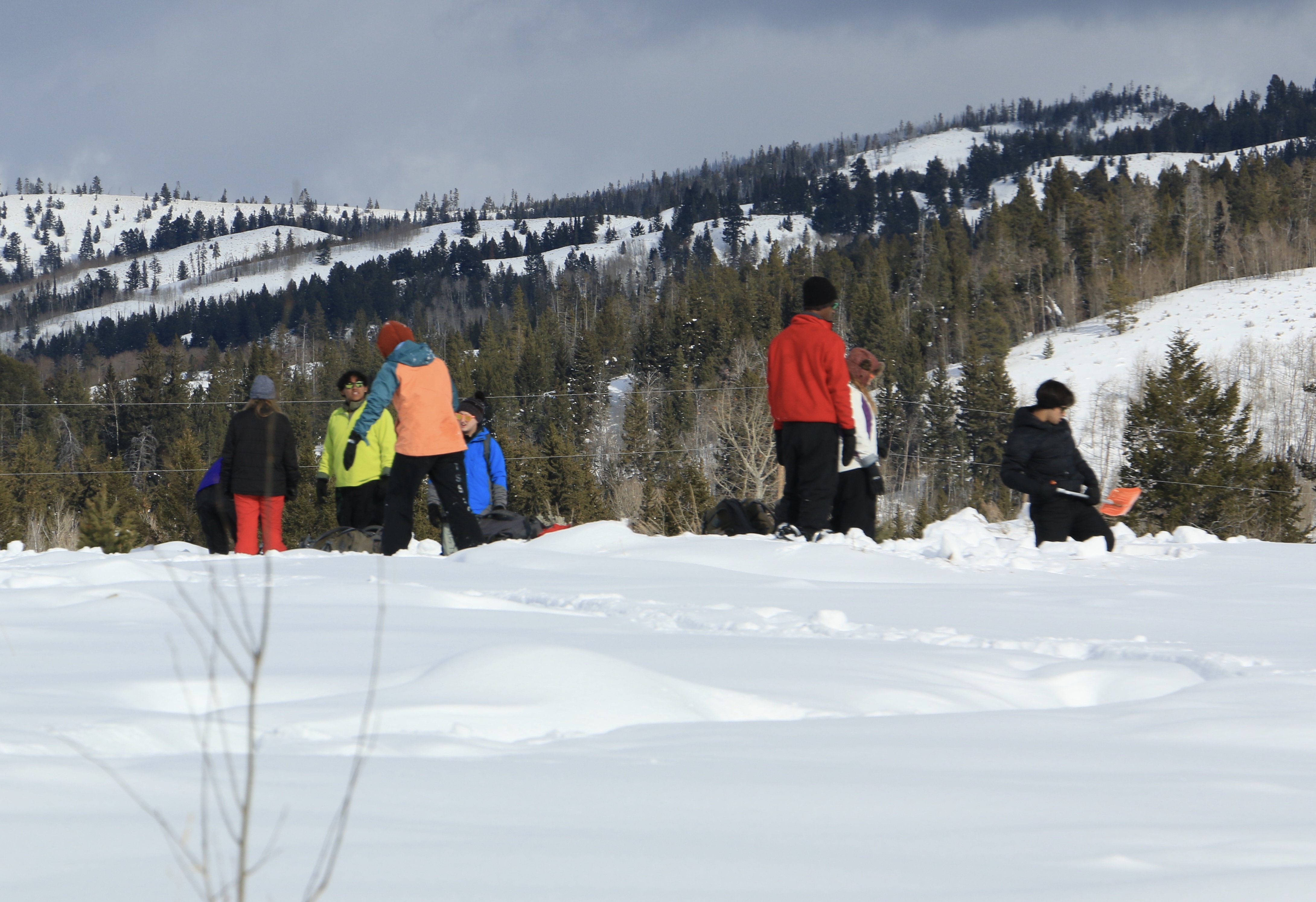Collecting data in the sagebrush