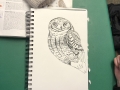 Owl drawing by Emmi
