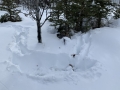 Evidence of Moose