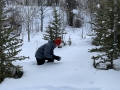 Tracking in the snow
