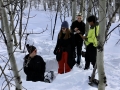 Snow Science