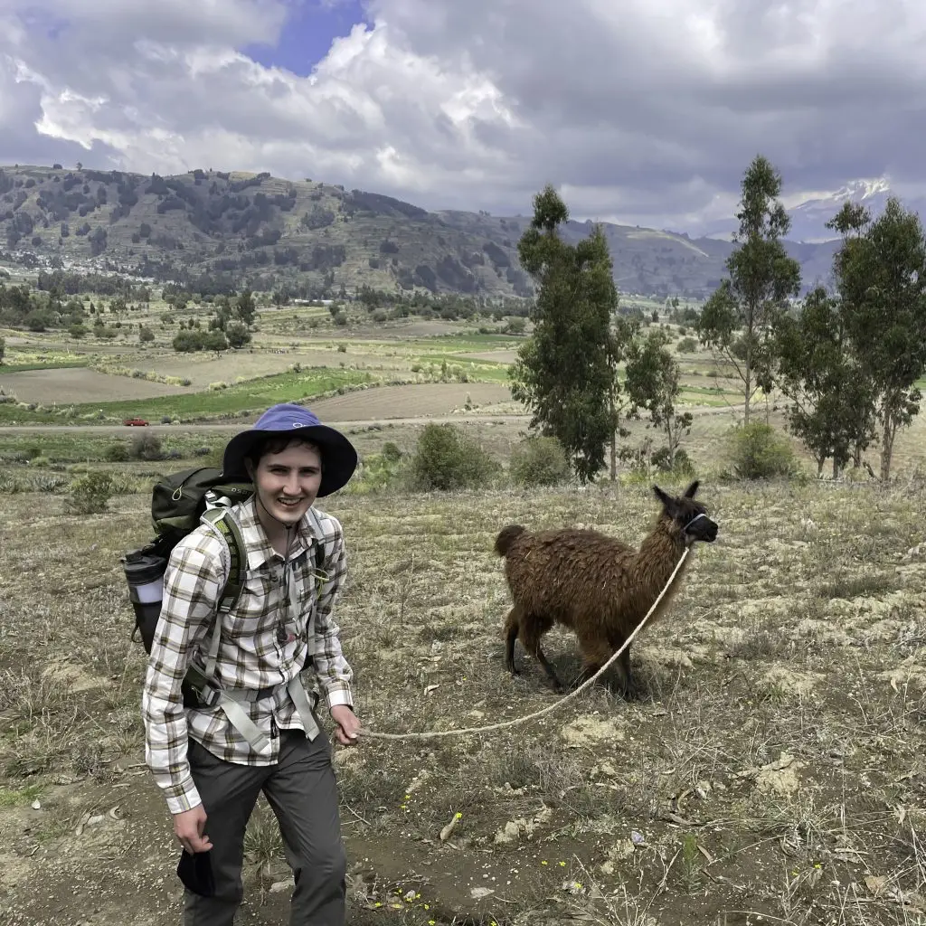 Ecuador_F21_Andes-llama