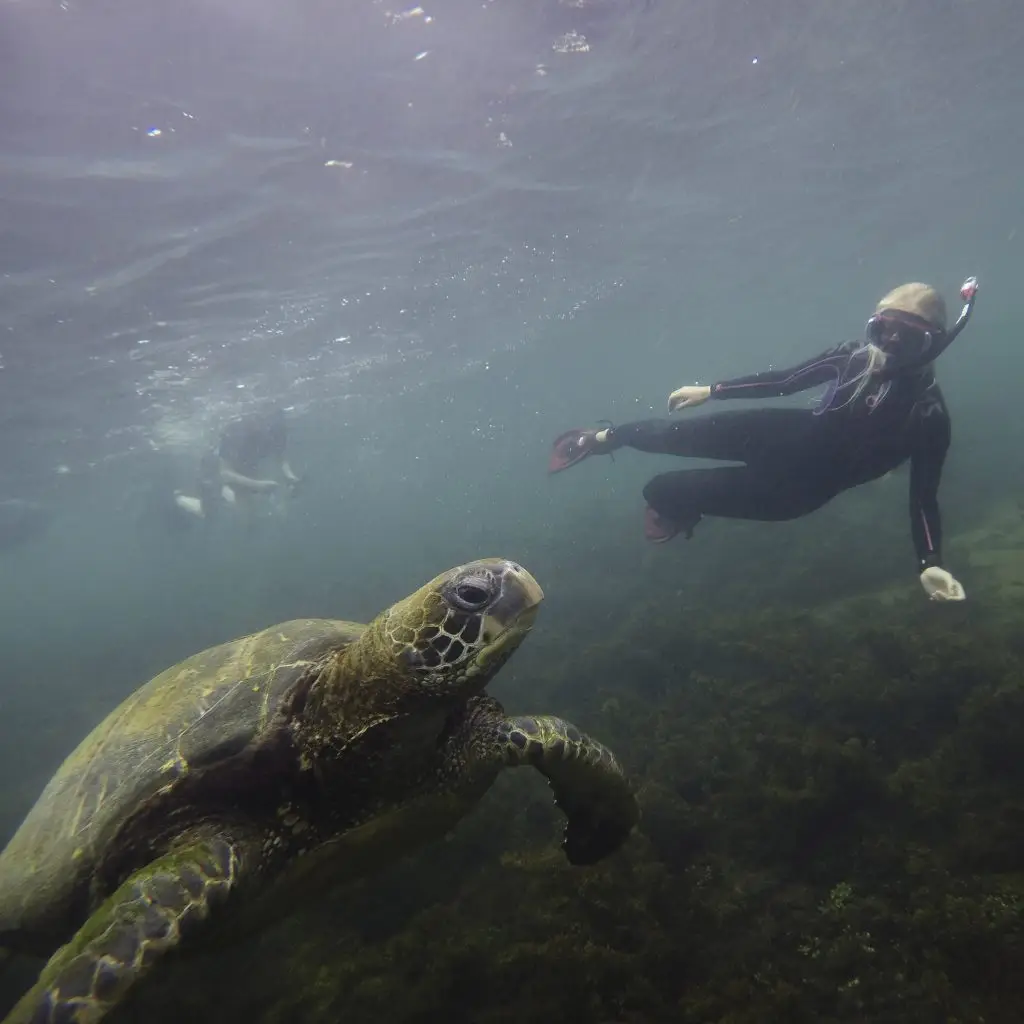 DCIM100GOPROGOPR7094.JPG