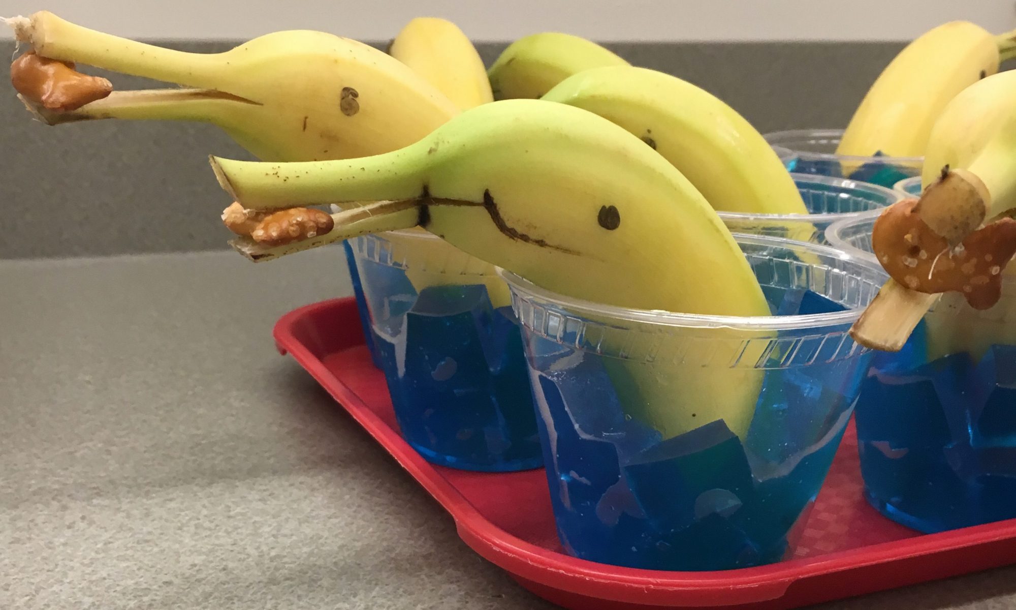 Banana Dolphins Snack – Principia Acorn