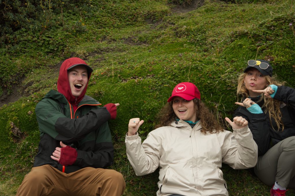 Cushion plants in the Paramo