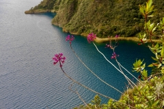 6018B807-AE21-4FA5-8839-D5BCBBE04E31_1_201_a