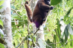 21D92760-89D4-46A8-A8F4-6A5A38C4CC24_1_201_a