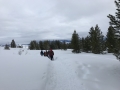 IMG_6293